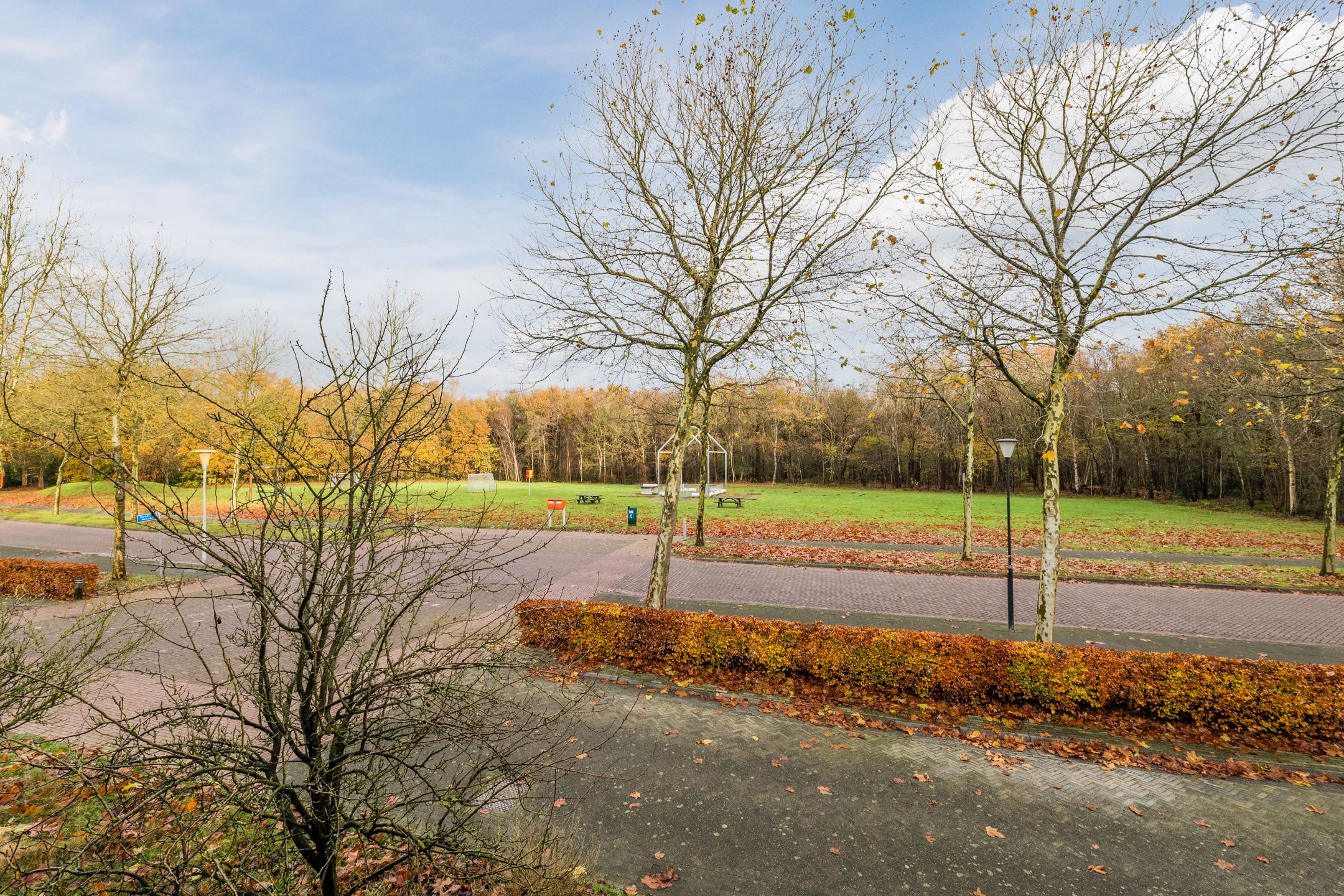 Photo 36 of Grasland 64