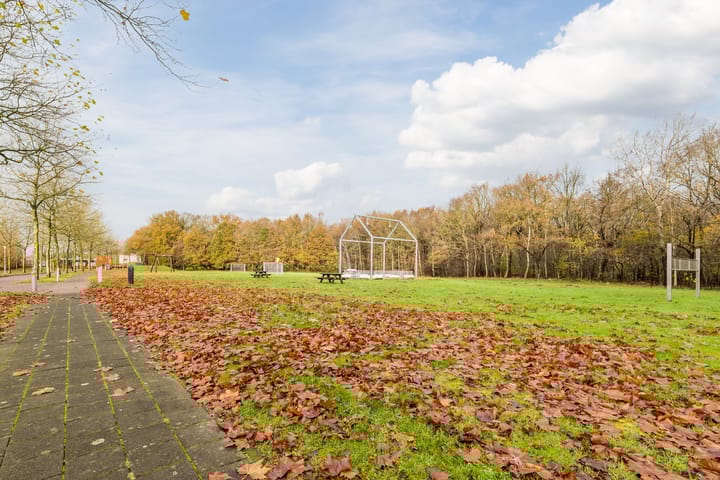 Photo 37 of Grasland 64