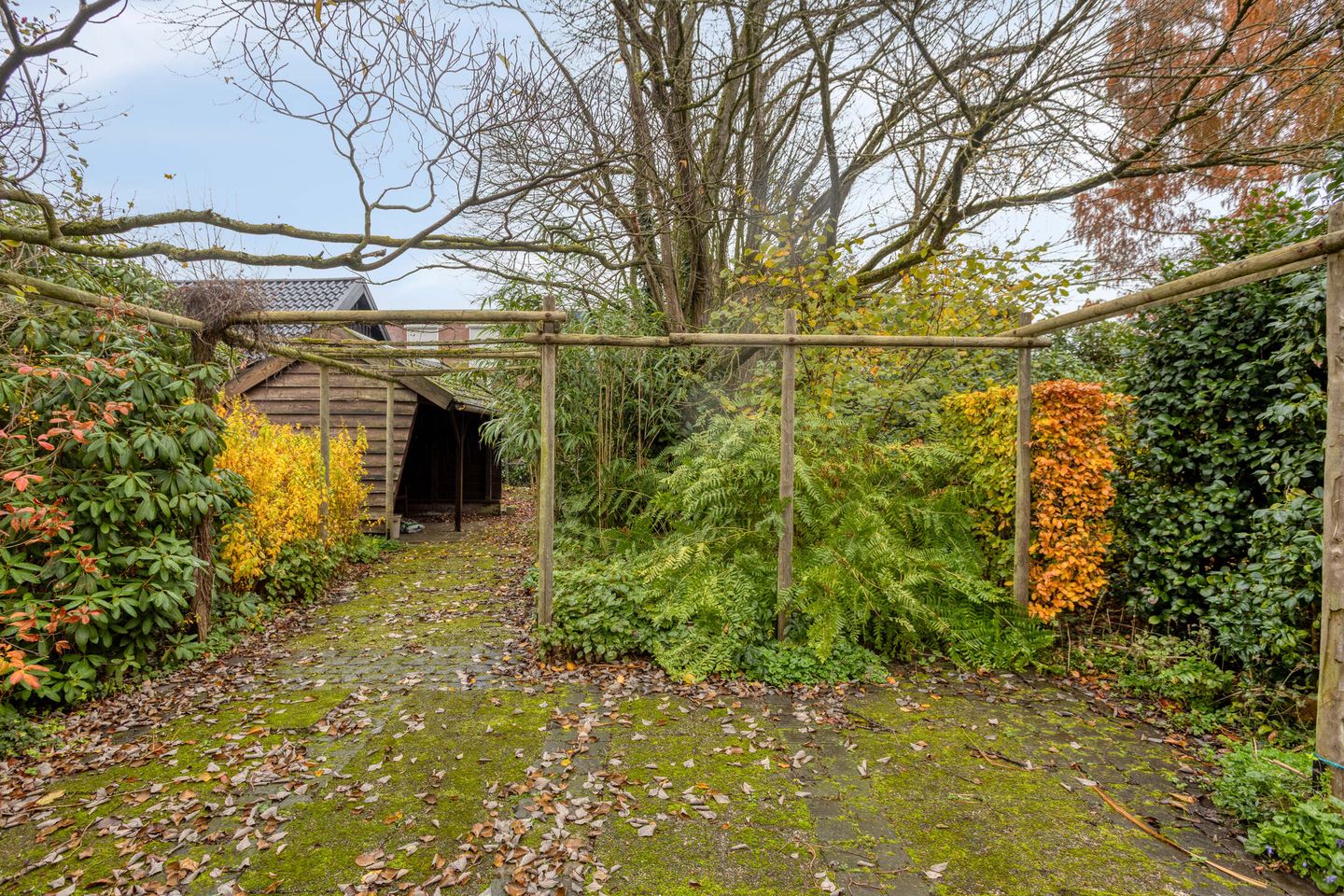 Photo 34 of Oranjelaan 41