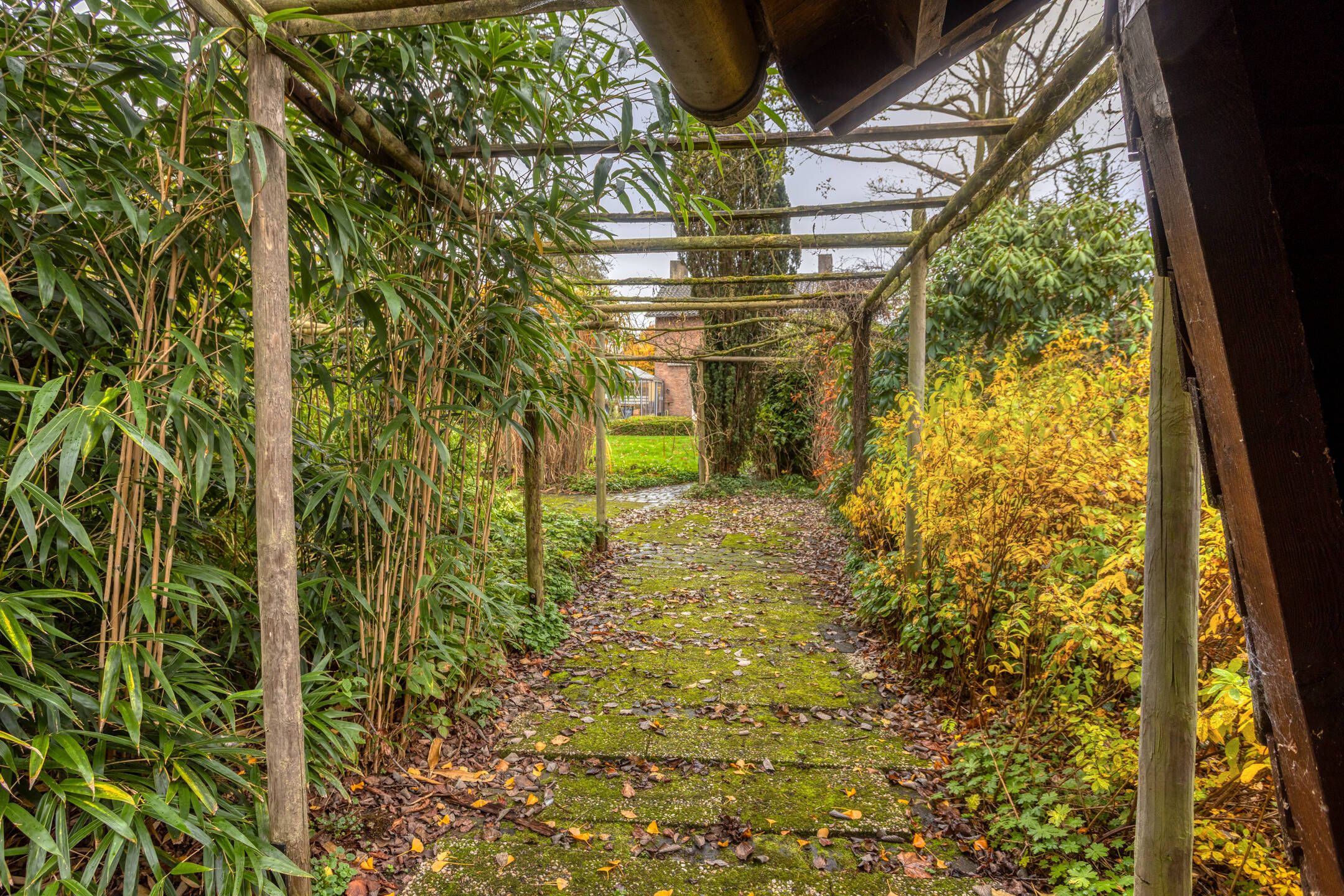 Photo 36 of Oranjelaan 41