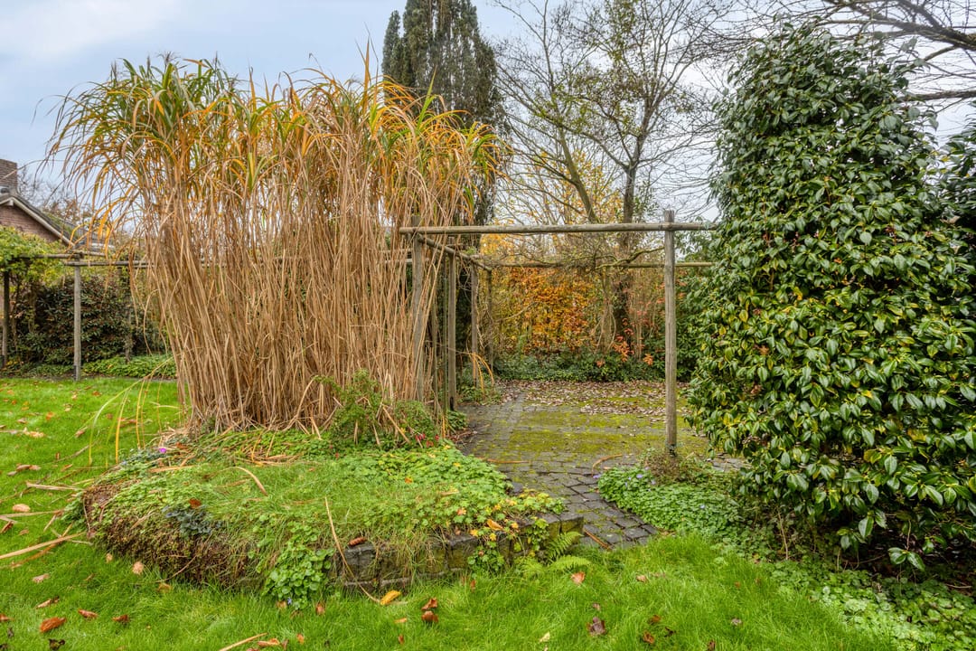 Photo 37 of Oranjelaan 41