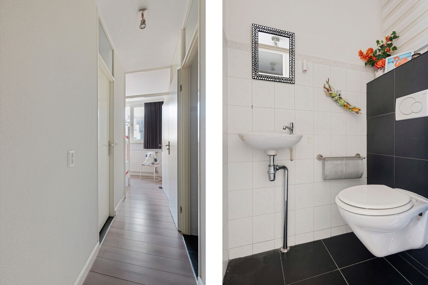 Foto 5 van Reinout 11