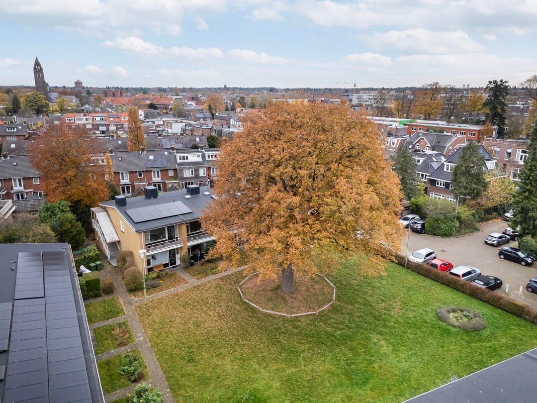 Foto 26 van Steniahof 128