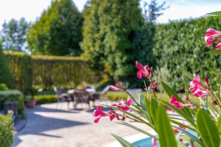 Foto 67 van Toepadweg 45