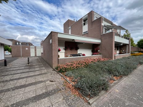 undefined main image