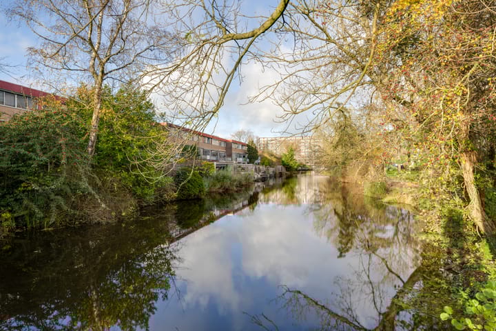 Photo 48 of Meeuwstraat 92