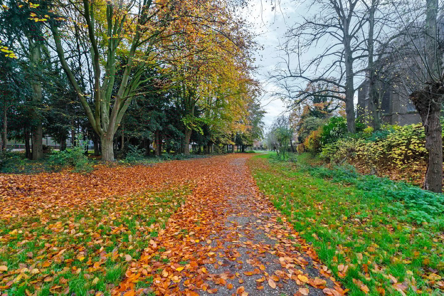 Foto 25 van Hoge Akker 15