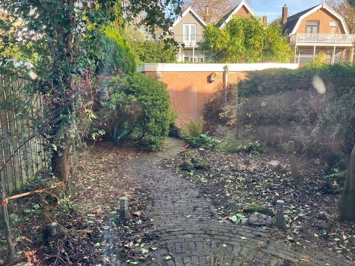 Photo 4 of Wildbaan 86