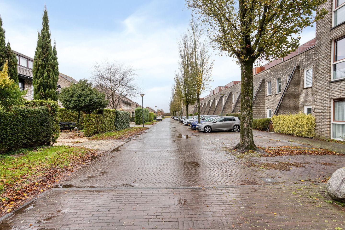 Photo 20 of Brandaris 73