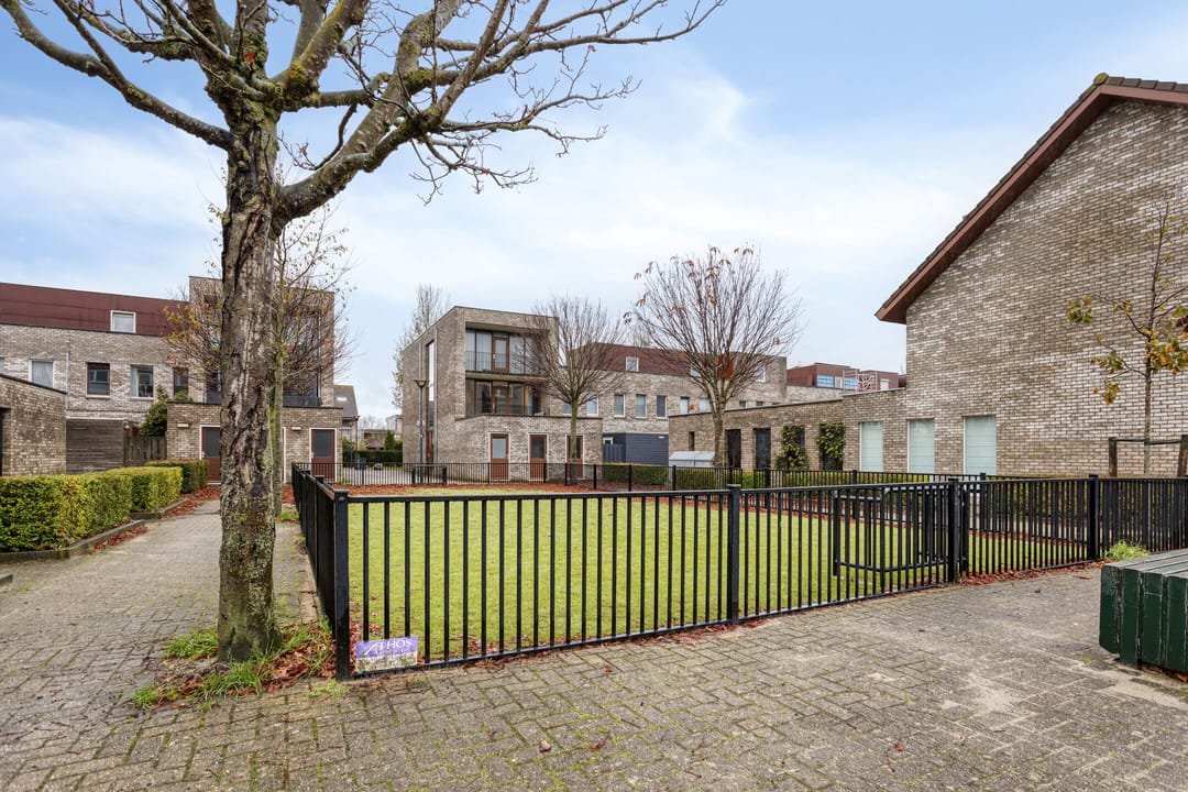 Photo 22 of Brandaris 73