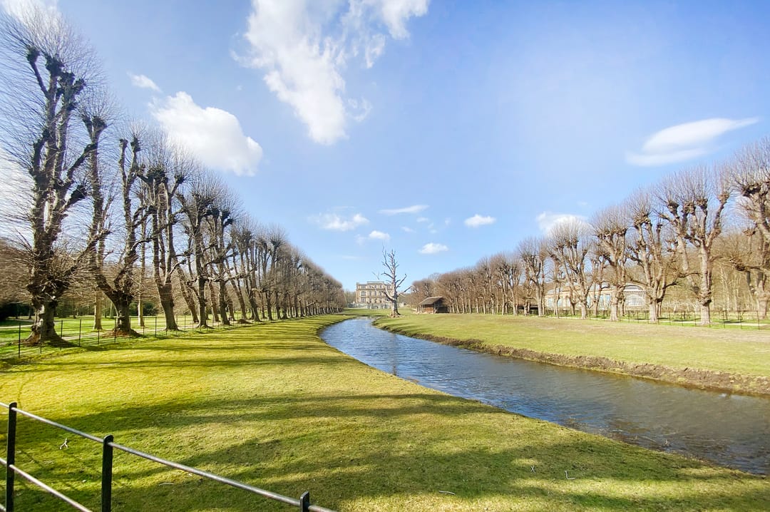 Foto 43 van Rollandslaan 72