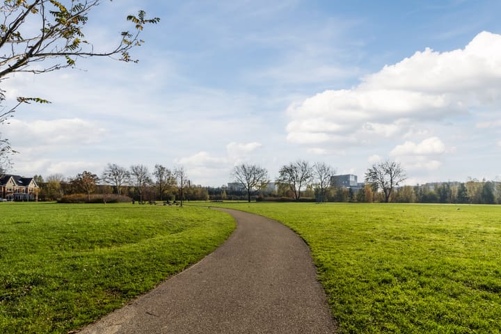 Photo 51 of Rhijnhofweg 22