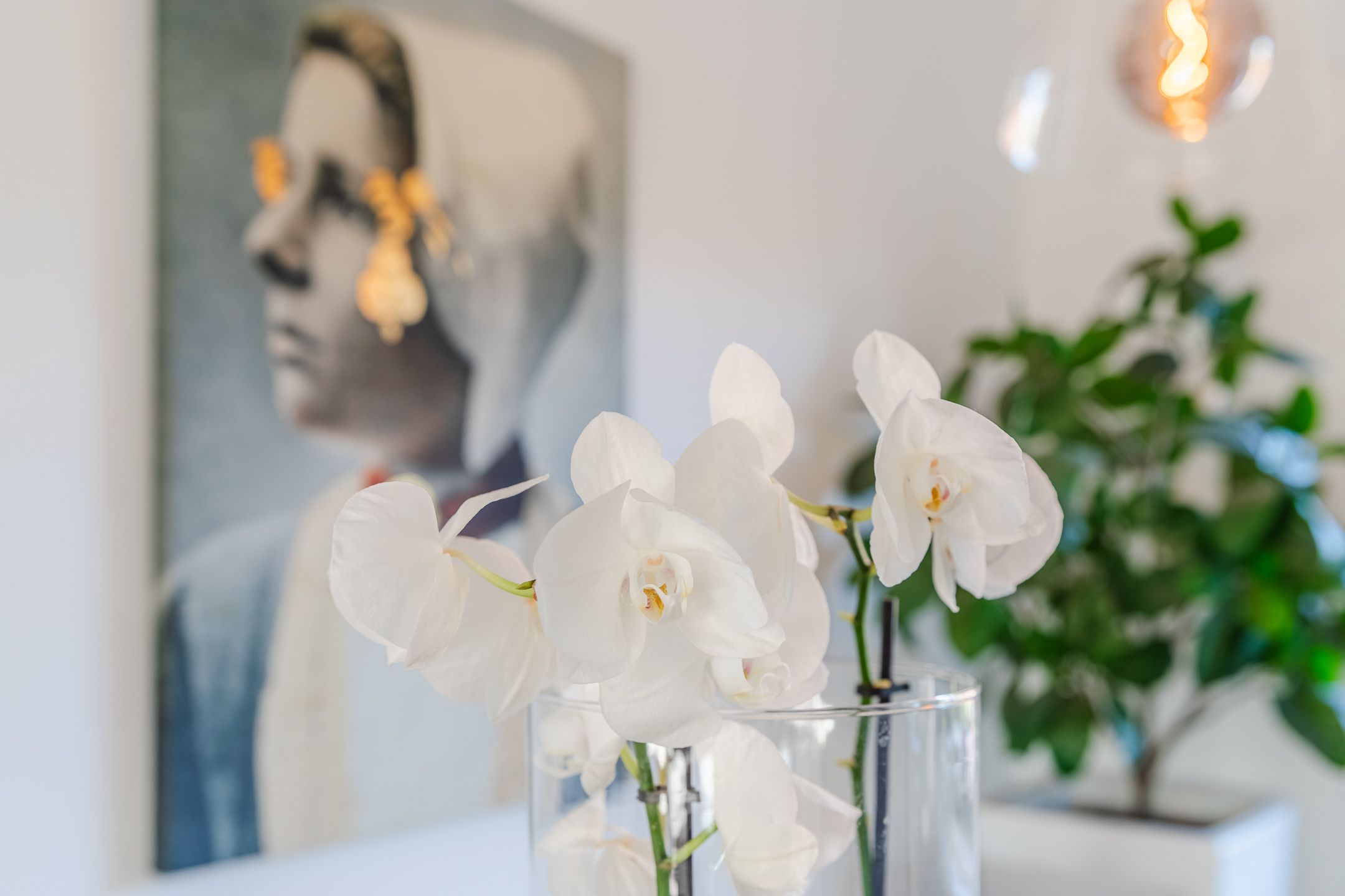 Foto 12 van Baroniestraat 9