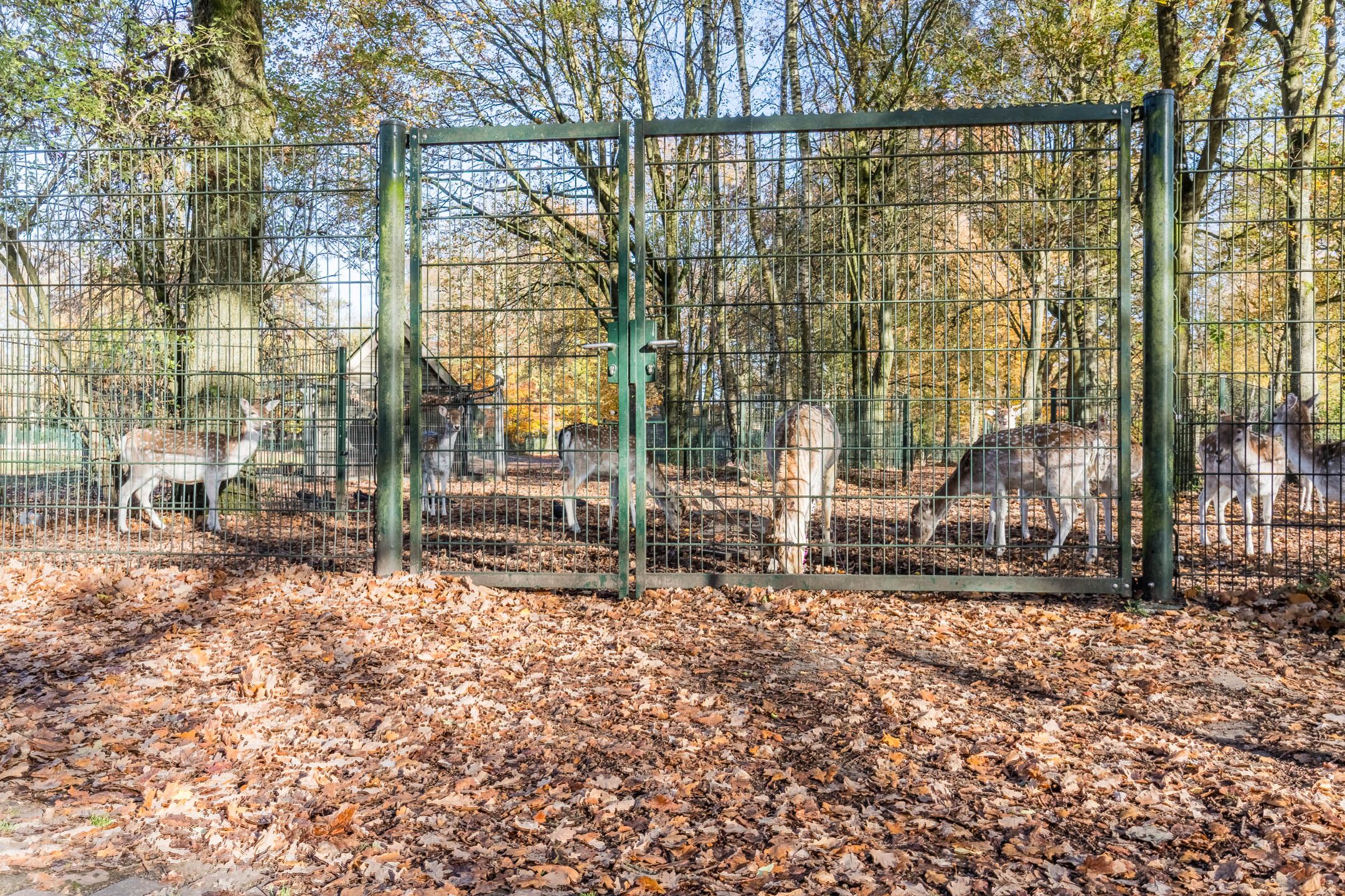 Foto 54 van Baroniestraat 9