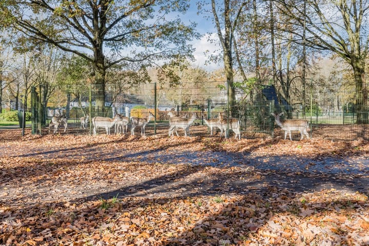 Foto 55 van Baroniestraat 9