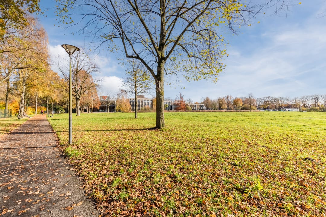 Foto 58 van Baroniestraat 9