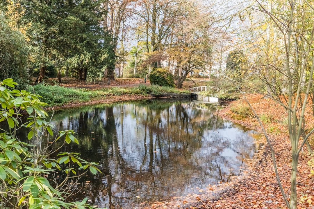 Foto 62 van Baroniestraat 9