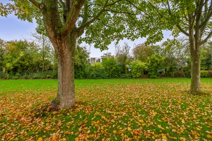 Foto 28 van Diamant 23