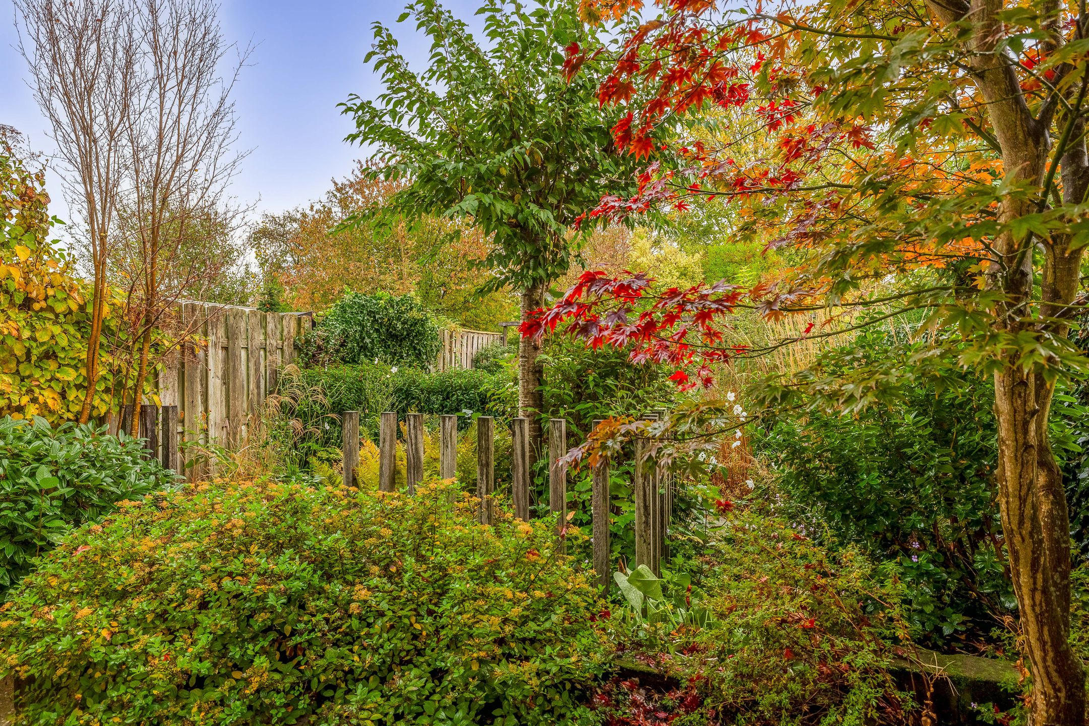 Foto 33 van Diamant 23