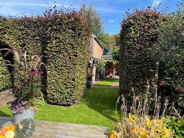 Photo 68 of Nieuweweg 60