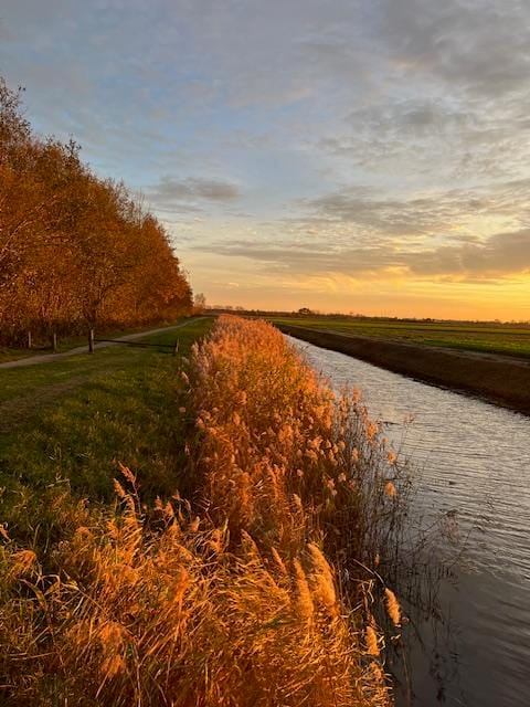 Photo 79 of Nieuweweg 60