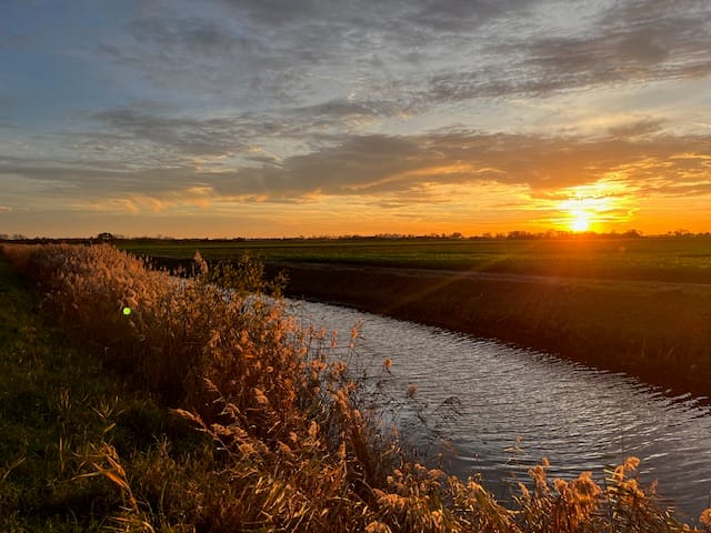 Photo 80 of Nieuweweg 60