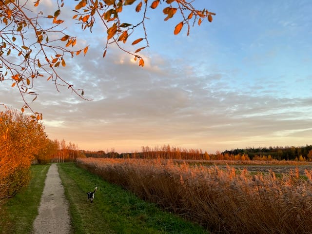 Photo 82 of Nieuweweg 60