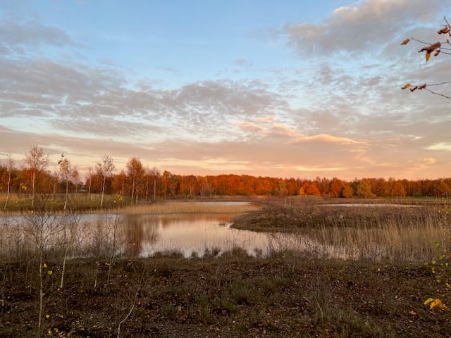 Photo 83 of Nieuweweg 60