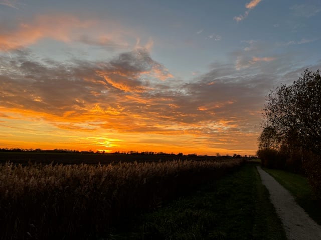 Photo 84 of Nieuweweg 60