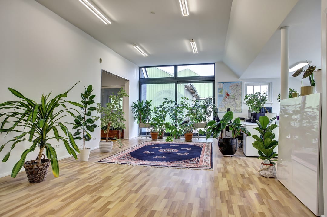 Foto 23 van Hasselaarsweg 18