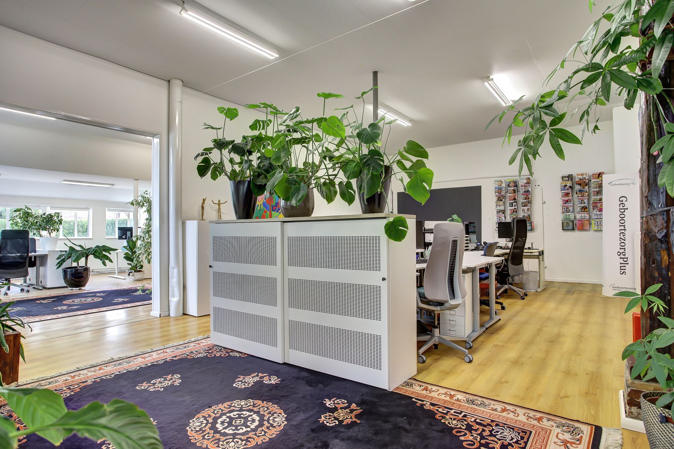 Foto 27 van Hasselaarsweg 18