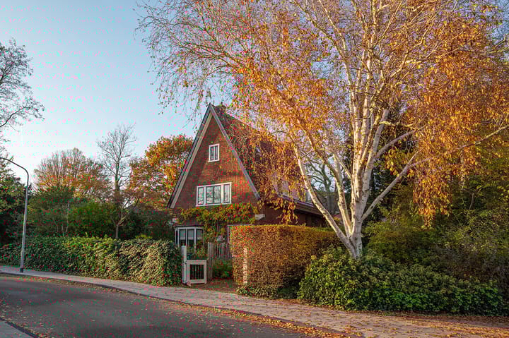 Photo 4 of Acacialaan 1