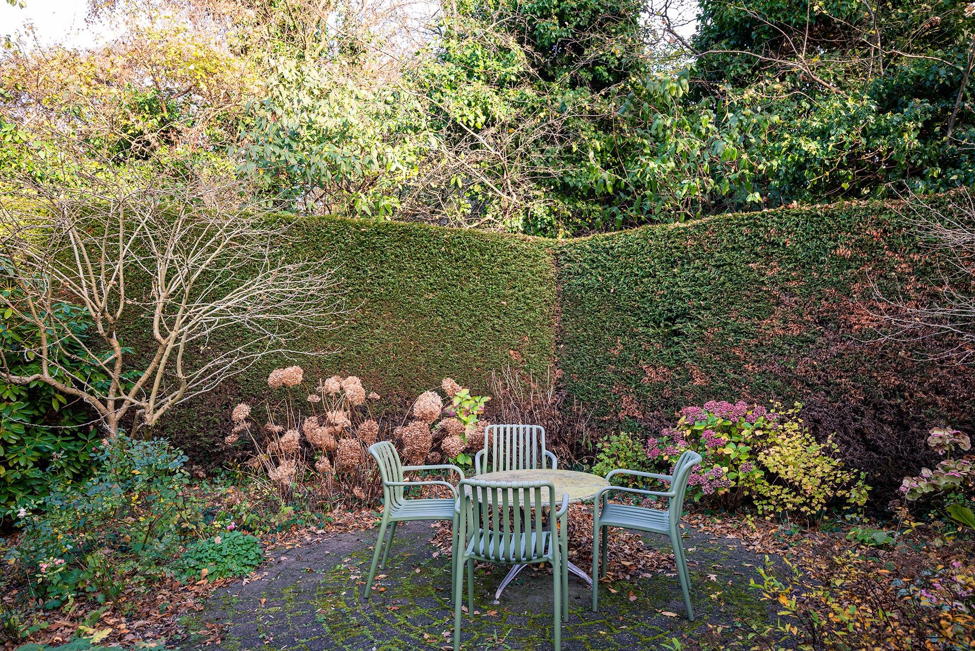 Photo 54 of Acacialaan 1