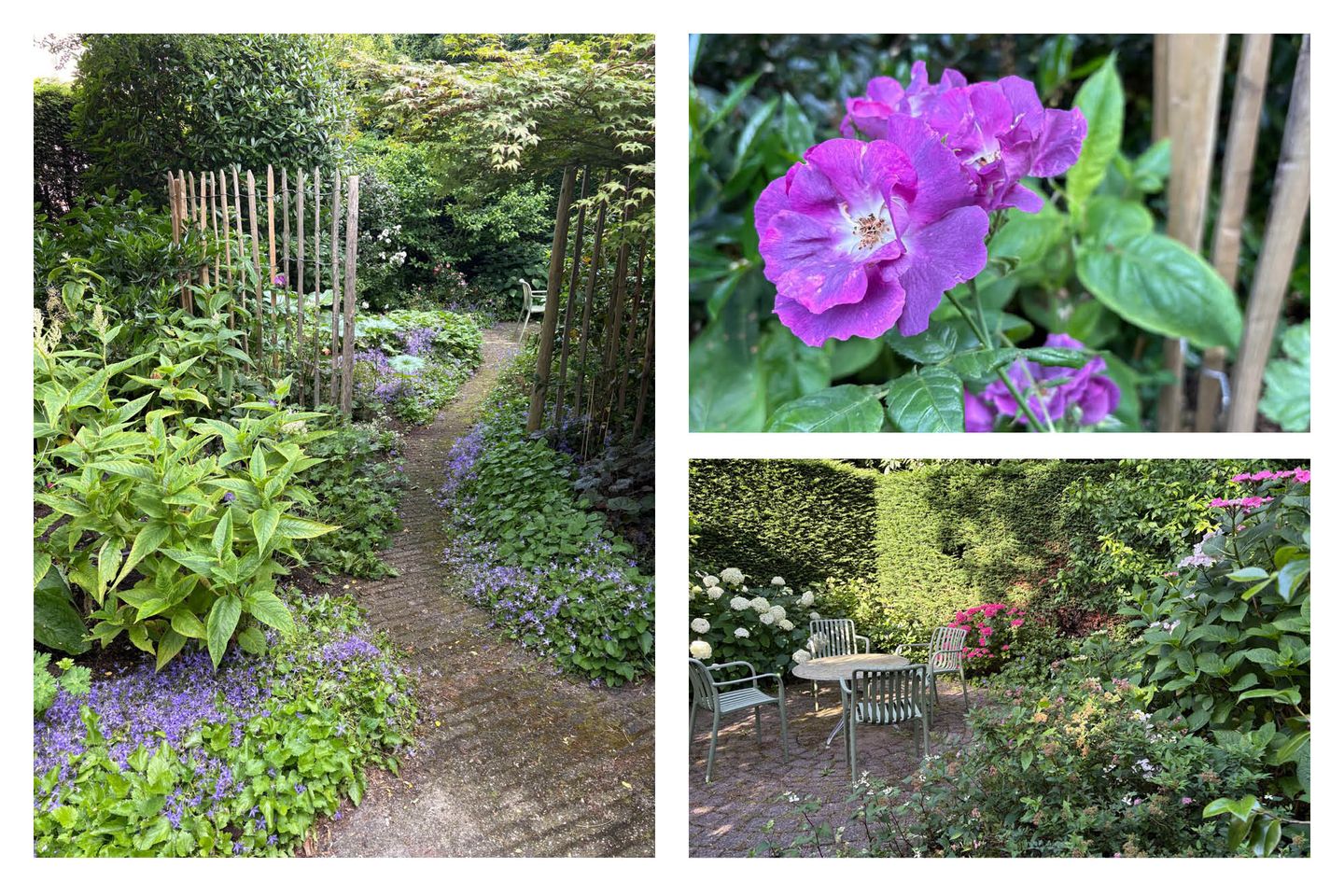 Photo 59 of Acacialaan 1