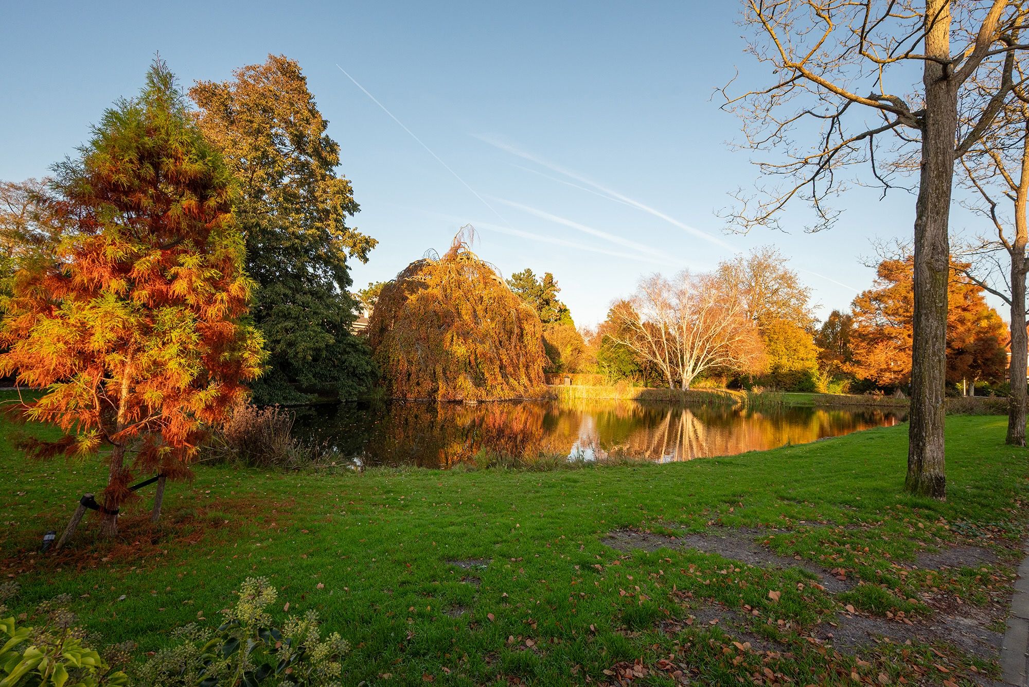 Photo 60 of Acacialaan 1