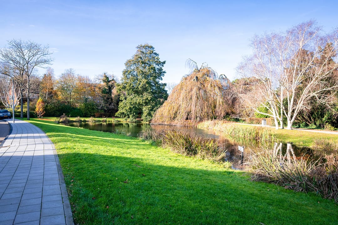 Photo 61 of Acacialaan 1