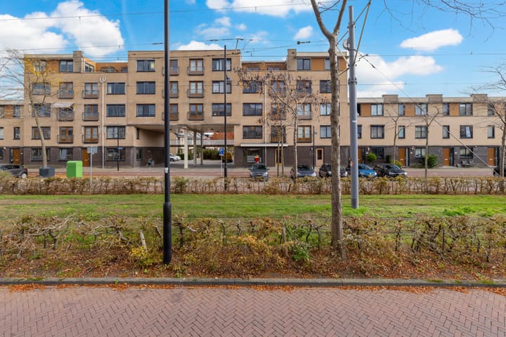 Avenue Carré 202