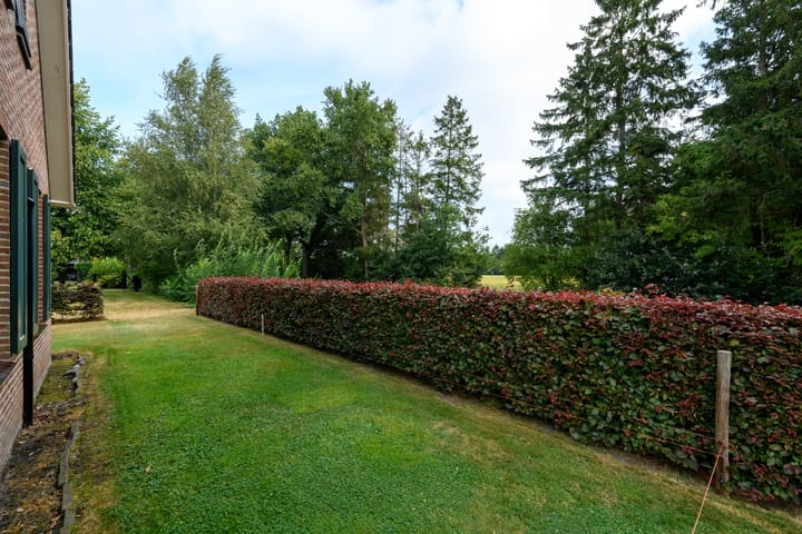 Foto 46 van de Stringen 27