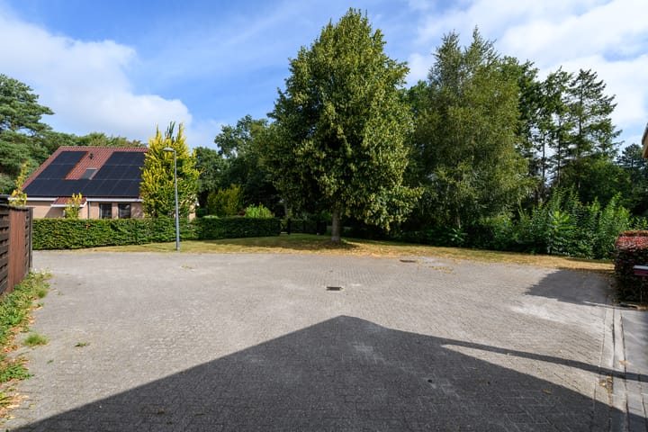 Foto 51 van de Stringen 27