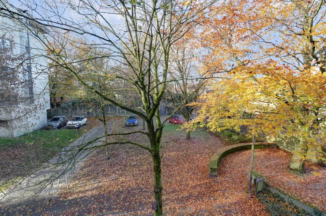 Foto 41 van Nieuwstraat 17-B