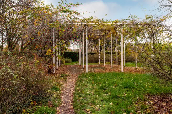 Photo 28 of Petuniastraat 13