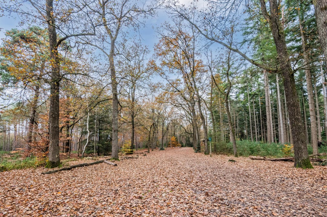 Foto 41 van Asselsestraat 333