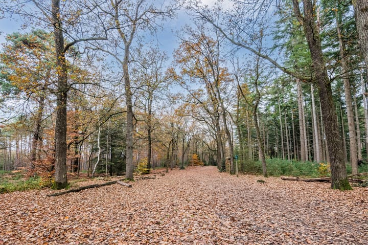 Photo 41 of Asselsestraat 333