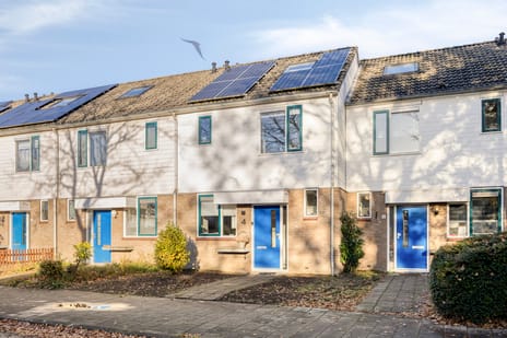 undefined main image