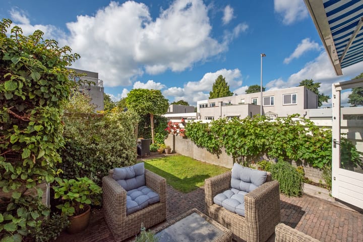 Foto 9 van Meloengeel 1