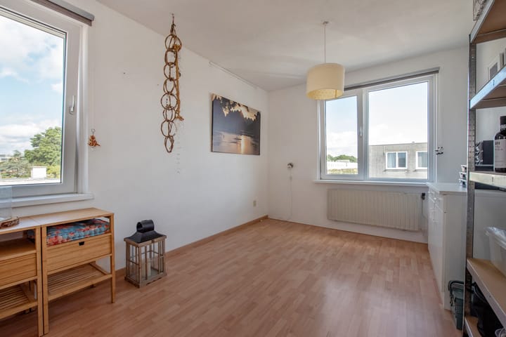 Foto 28 van Meloengeel 1