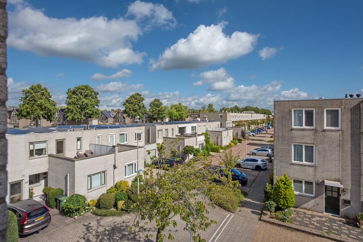 Foto 29 van Meloengeel 1