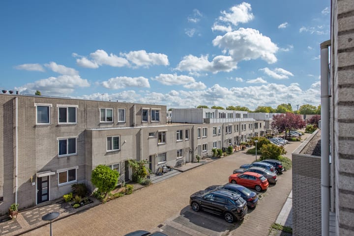 Foto 30 van Meloengeel 1