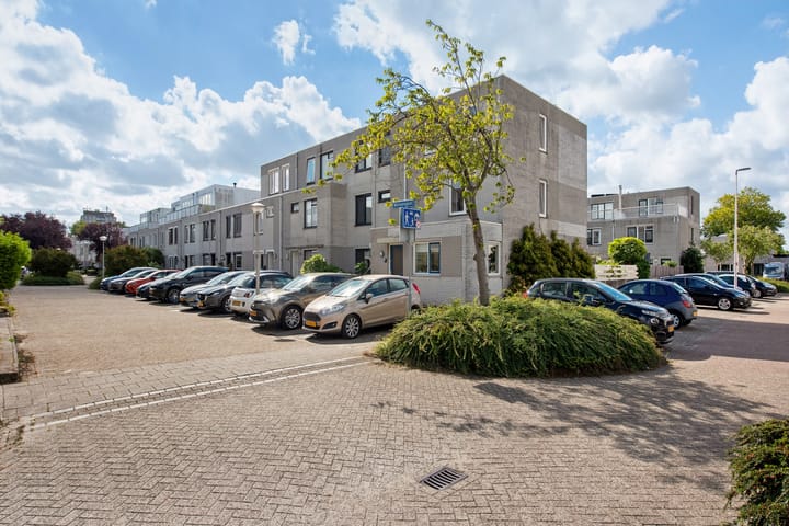 Foto 33 van Meloengeel 1