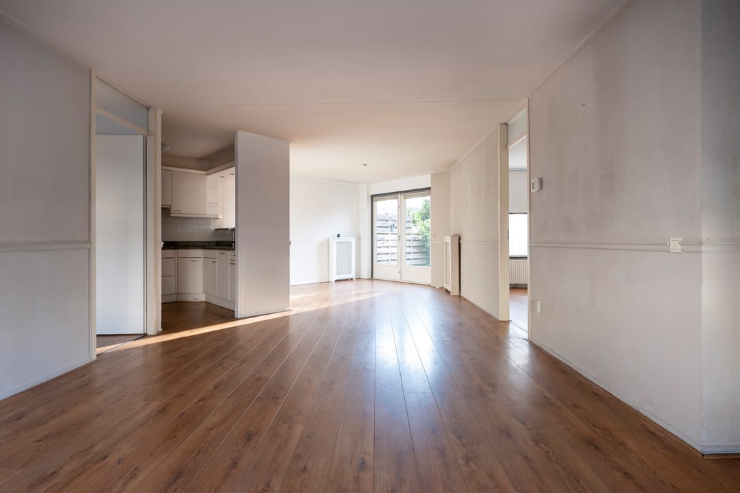 Foto 2 van Steenuil 19